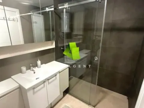 Rent, one bedroom apartment, 47m², Pantelej, Niš - image 7