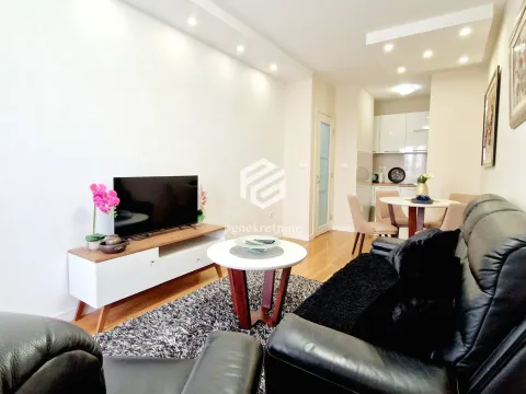 Izdavanje, jednosoban stan, 43m², Central Point, Podgorica - image 2