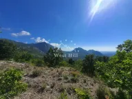 Sale, land lot, 14000m², Pečurice, Bar - image 5