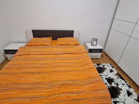 Izdavanje, dvosoban stan, 66m², Stari Aerodrom, Podgorica - image 5