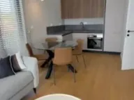 Izdavanje, jednosoban stan, 45m², Preko Morače, Podgorica - image 4