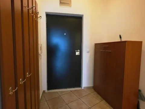 Rent, two bedroom apartment, 48m², Cvetkova Pijaca, Zvezdara Sve Podlokacije - image 16