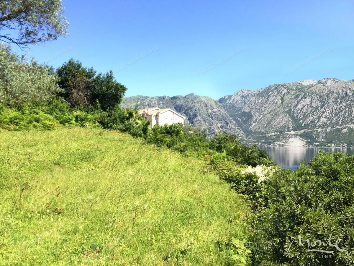 Prodaja, plac, 5000m², Prčanj, Kotor