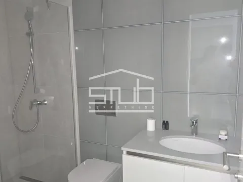 Izdavanje, dvosoban stan, 54m², Savski Venac, Beograd - image 8