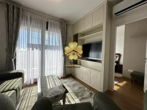 Izdavanje, jednosoban stan, 50m², Podgorica, Crna Gora - image 3