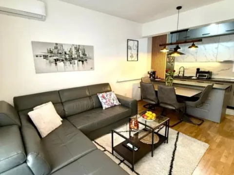 Izdavanje, jednosoban stan, 48m², Stara Varoš, Podgorica - image 4