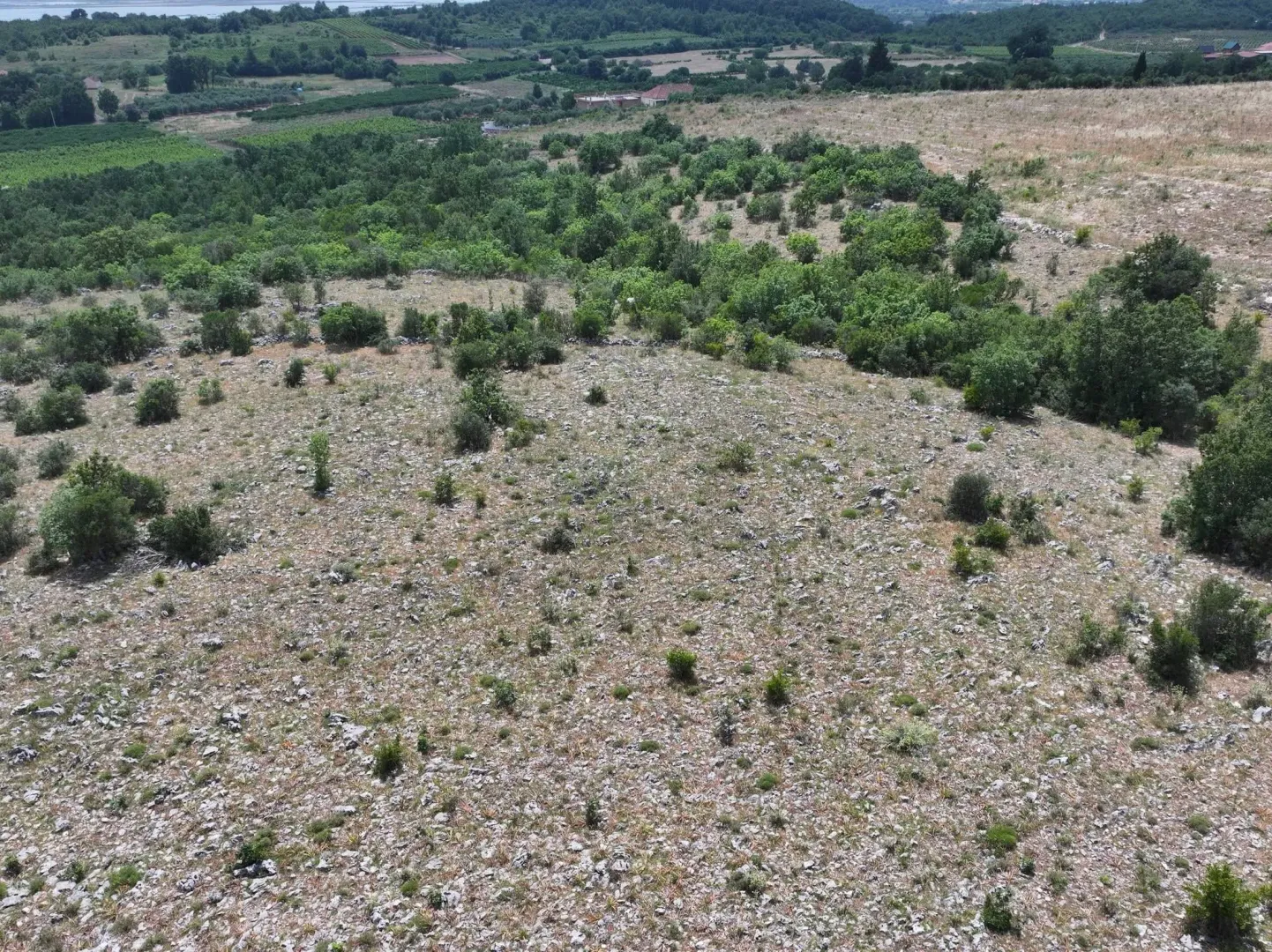 Prodaja, plac, 39000m², Briska Gora, Ulcinj