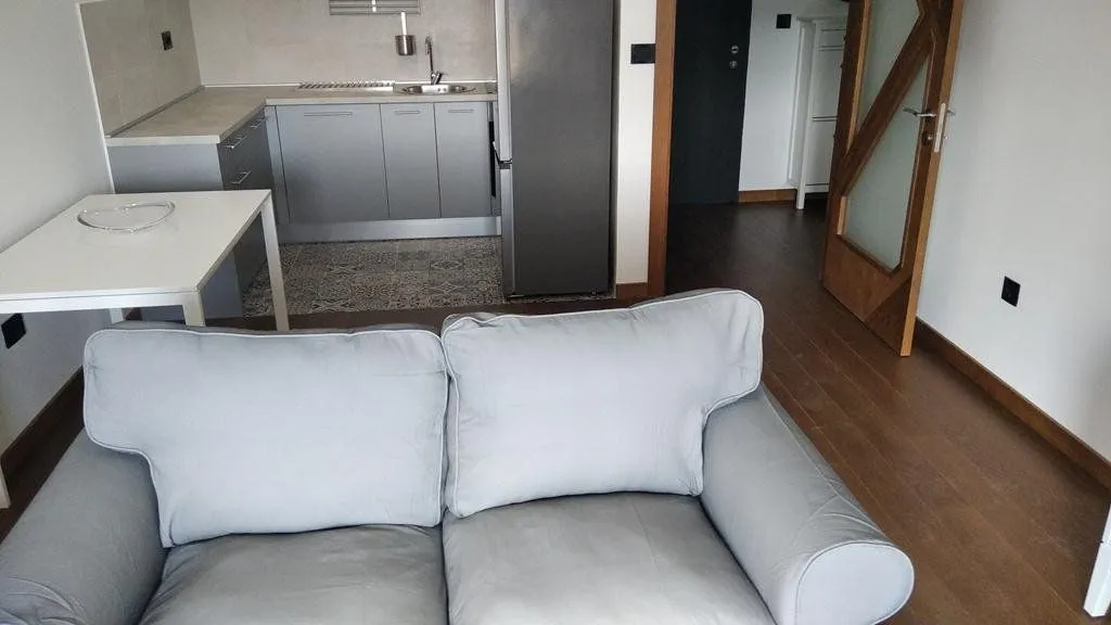 Rent, one bedroom apartment, 55m², Ljubović, Podgorica