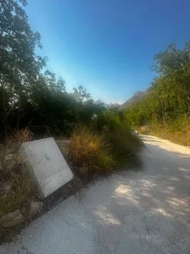 Dirt road with greenery and surrounding nature. - image 8
