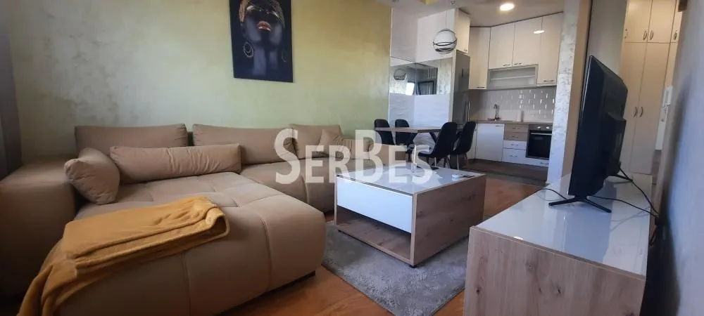 Izdavanje, jednosoban stan, 42m², Adamovićevo Naselje, Novi Sad Sve Podlokacije