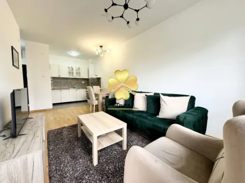 Izdavanje, jednosoban stan, 45m², Podgorica, Crna Gora - image 2