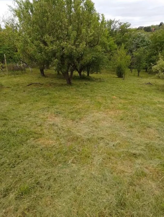 Prodaja, kuća, 24m², Čortanovci, Inđija
