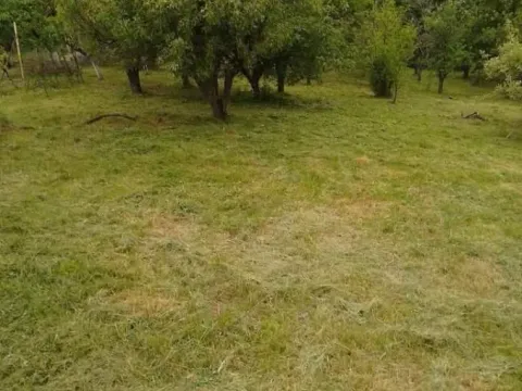 Prodaja, kuća, 24m², Čortanovci, Inđija - image 8