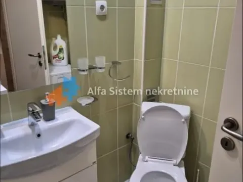 Izdavanje, dvosoban stan, 45m², Vračar Sve Podlokacije, Beograd - image 7