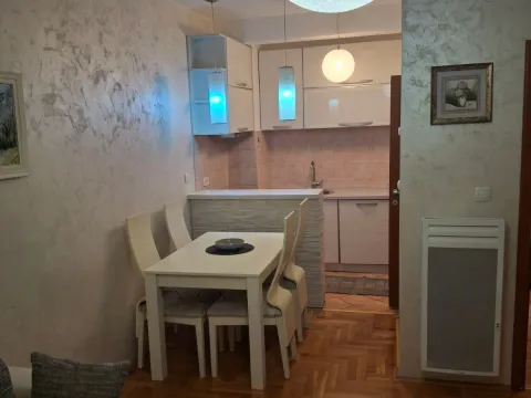 Izdavanje, jednosoban stan, 42m², Zabjelo, Podgorica - image 11
