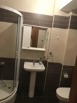 Jednostavno kupatilo sa tuš kabinom, lavaboom i ogledalom. - image 12