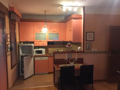 Izdavanje, jednosoban stan, 40m², Preko Morače, Podgorica - image 4