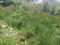 Sale, land lot, 1072m², Kavač, Kotor - image 3