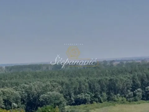 Prodaja, kuća, 360m², Petrovaradin, Novi Sad - image 6