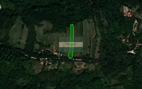 Satelitski snimak sa ucrtanim granicama parcele i zelenom oznakom. - image 2