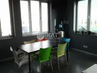 Izdavanje, poslovni prostor, 1045m², Karlovčić, Pećinci - image 11