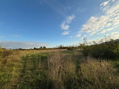 Prodaja, plac, 1500m², Donja Gorica, Podgorica - image 3