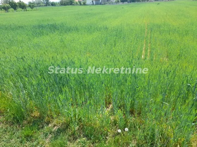Prodaja, plac, 5800m², Irig, Srbija