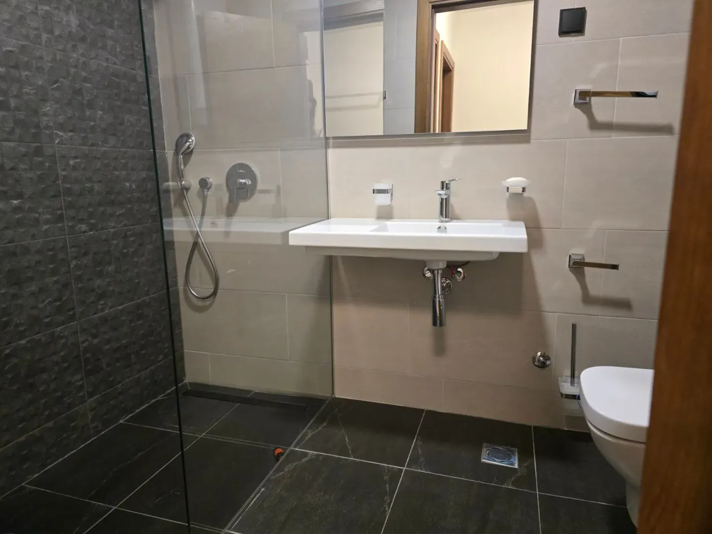 Modern bathroom with walk-in shower, washbasin, and toilet.