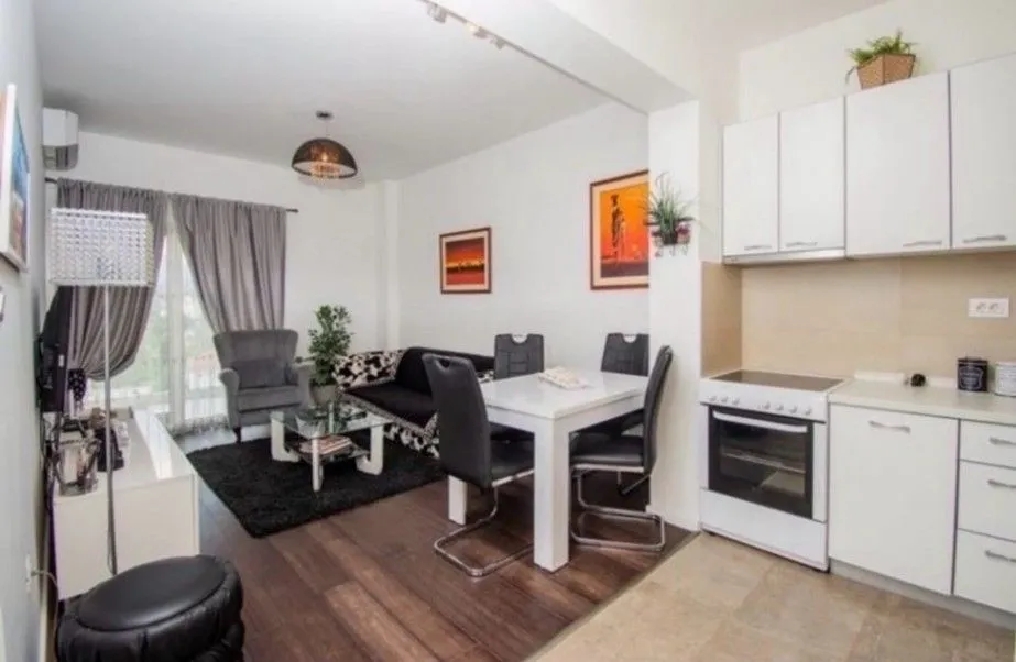 Rent, one bedroom apartment, 48m², Vezirov Most, Podgorica