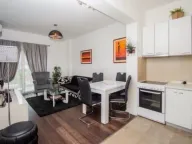 Izdavanje, jednosoban stan, 48m², Vezirov Most, Podgorica - image 2