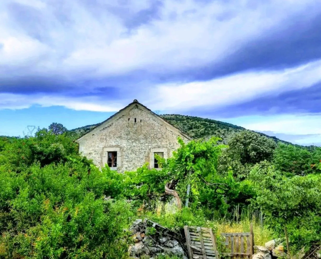 Prodaja, plac, 92616m², Rogami, Podgorica