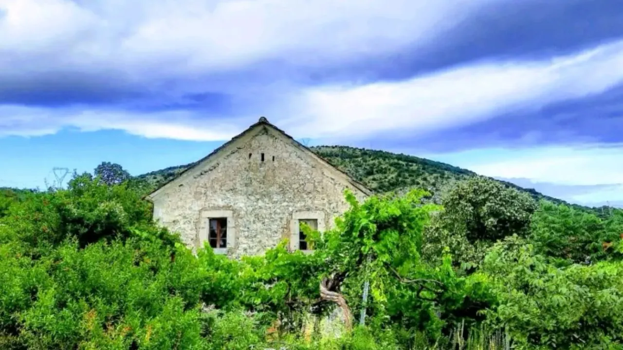 Prodaja, plac, 92616m², Rogami, Podgorica