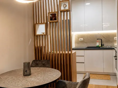 Rent, one bedroom apartment, 45m², New City, Podgorica - image 2