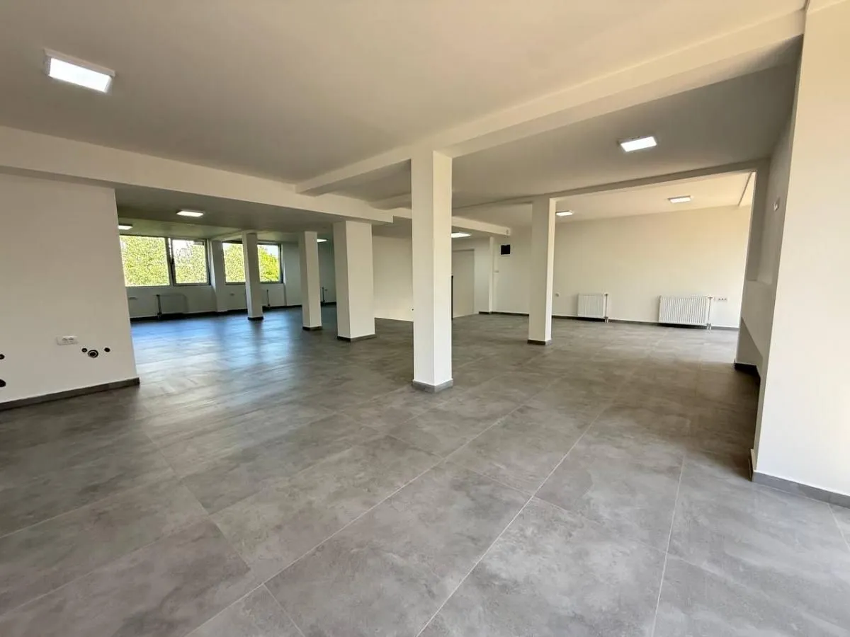 Rent, office space, 349m², Bulevar patrijarha Pavla, Novi Sad Sve Podlokacije