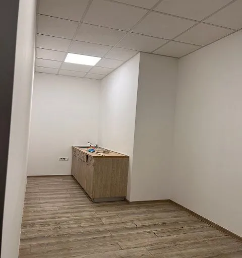 Izdavanje, poslovni prostor, 350m², Zemun Sve Podlokacije, Beograd