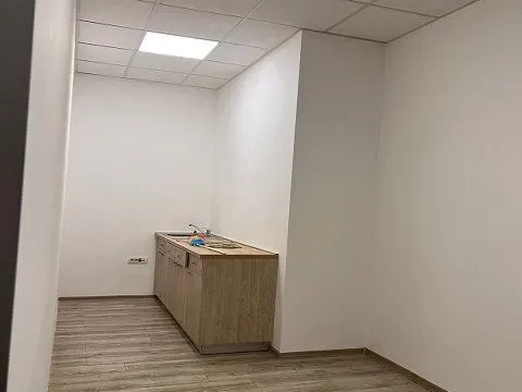 Izdavanje, poslovni prostor, 350m², Zemun Sve Podlokacije, Beograd - image 9