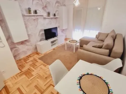 Izdavanje, garsonjera, 30m², Ljubović, Podgorica - image 4