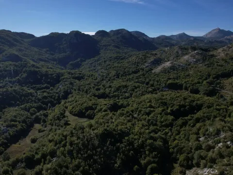 Sale, land lot, 136850m², Cetinje, Crna Gora - image 6