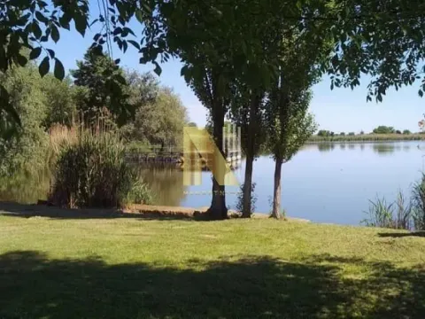 Sale, house, 230m², Srbobran, Novi Sad - image 8