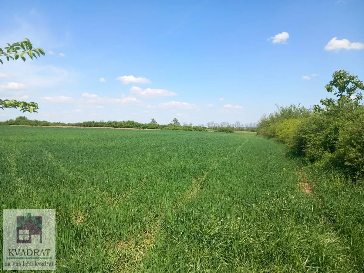 Prodaja, plac, 7600m², Obrenovac, Beograd