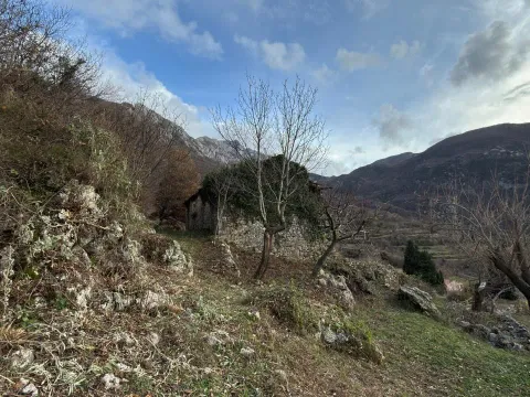 Prodaja, plac, 4350m², Tuđemili, Bar - image 6