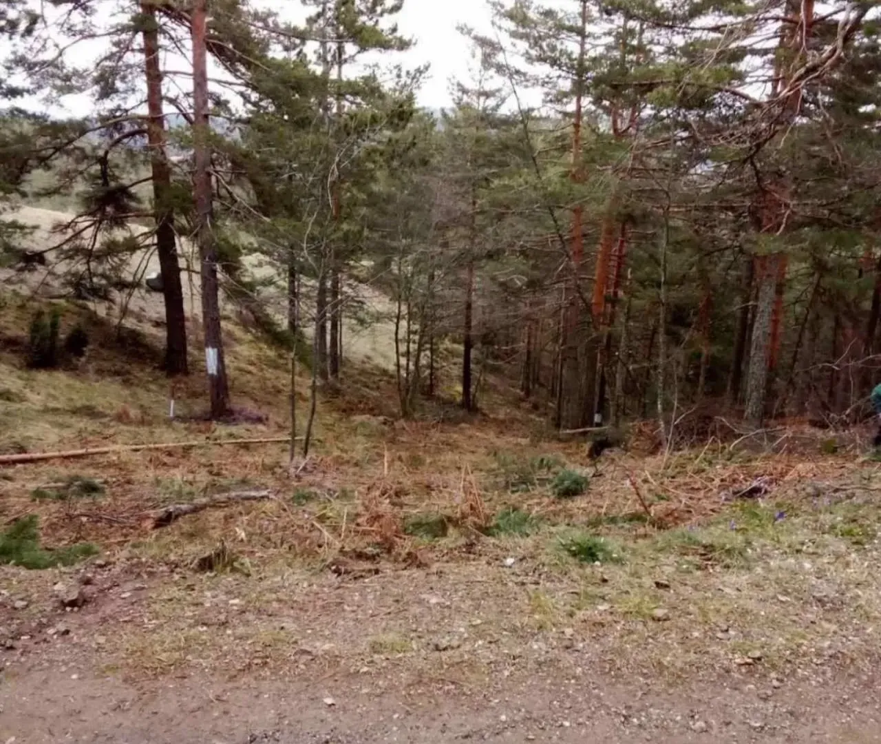 Prodaja, plac, 850m², Divčibare, Valjevo