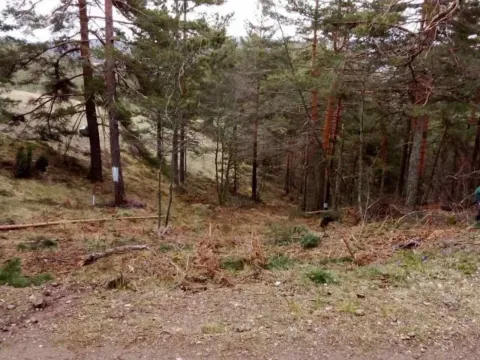 Sale, land lot, 850m², Divčibare, Valjevo - image 2