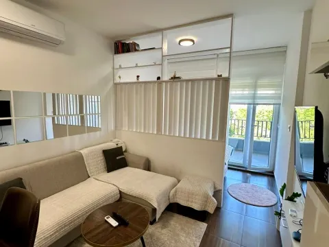 Rent, one bedroom apartment, 31m², Kruševac, Podgorica - image 7