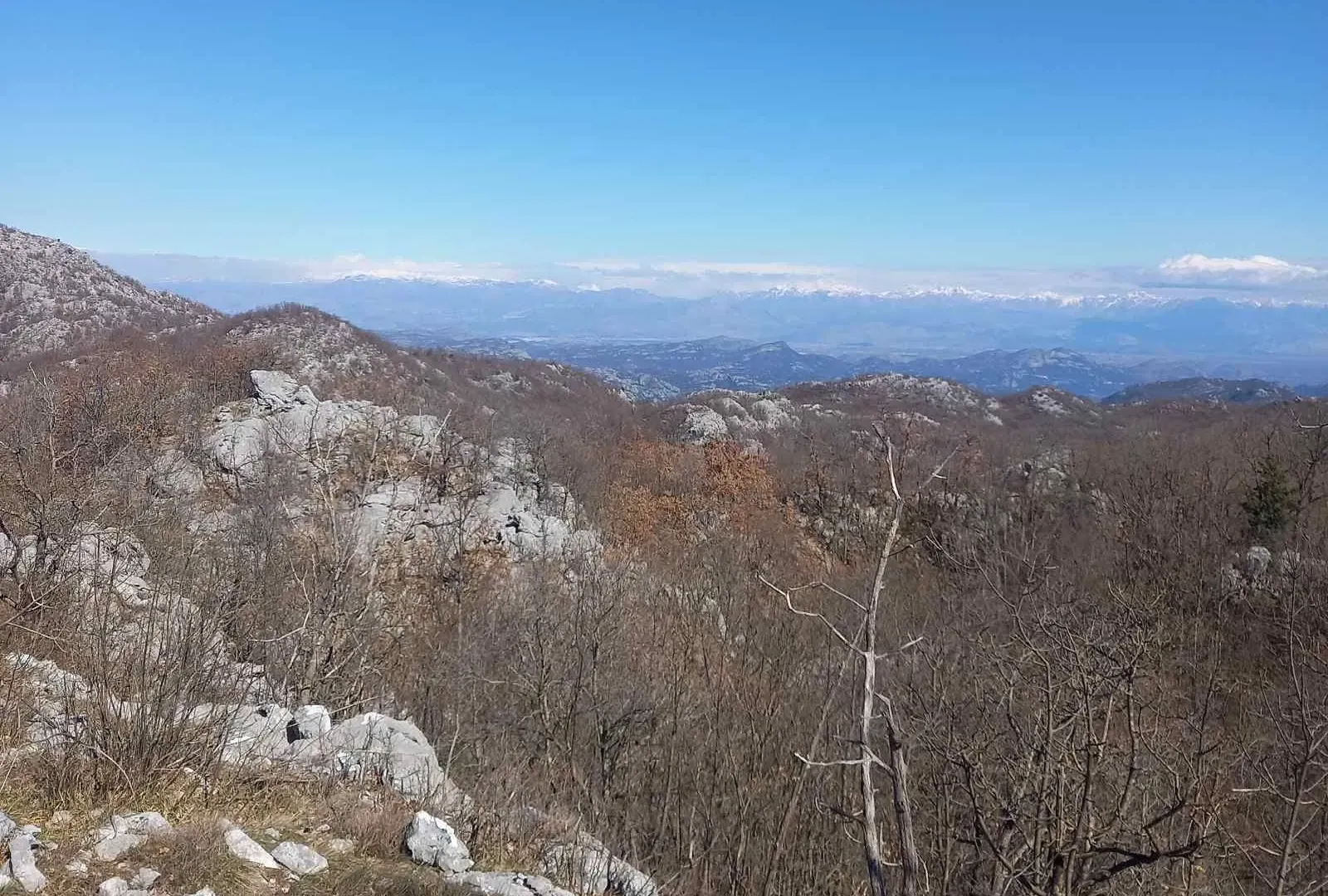 Prodaja, plac, 128000m², Cetinje, Crna Gora