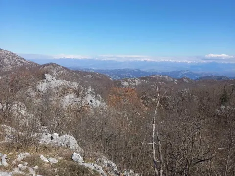 Prodaja, plac, 128000m², Cetinje, Crna Gora - image 4