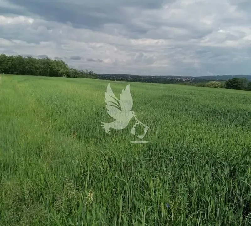 Prodaja, plac, 29000m², Sopot, Beograd