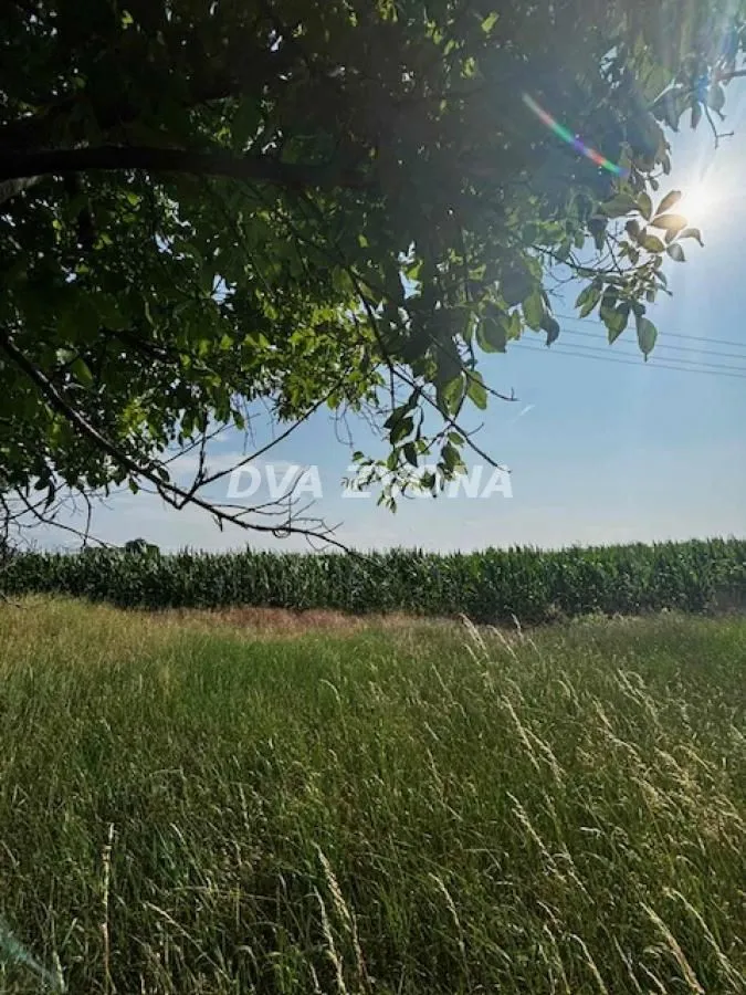 Prodaja, plac, 4700m², Čortanovci, Inđija
