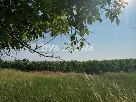 Sale, land lot, 4700m², Čortanovci, Inđija - image 3