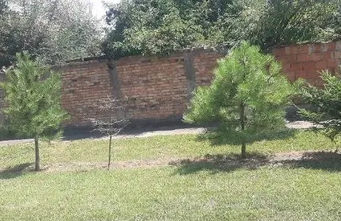 Sale, house, 60m², Debeljača, Kovačica - image 10